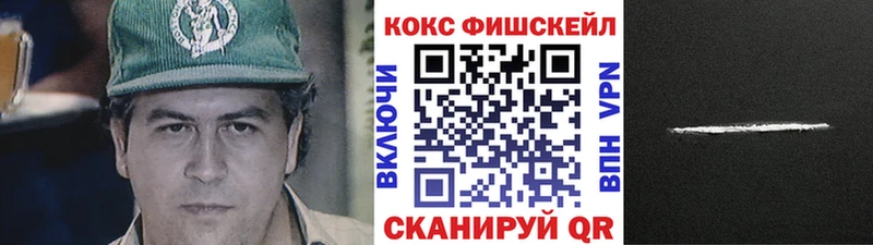 Купить закладки  Павловск  COCAIN Columbia 