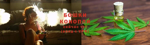 PSILOCYBIN Елабуга