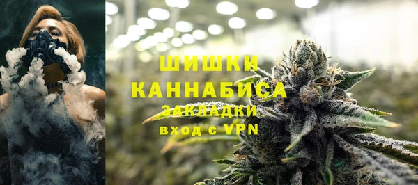 PSILOCYBIN Елабуга