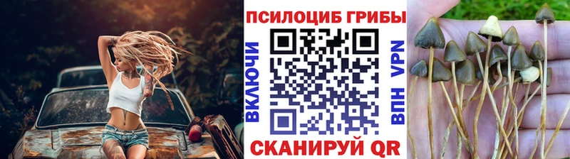 Галлюциногенные грибы GOLDEN TEACHER  Купить закладки  Павловск 